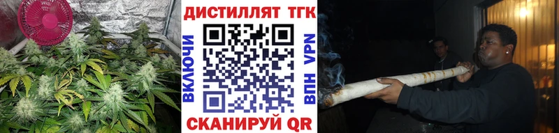 OMG зеркало  Орлов  ТГК концентрат 